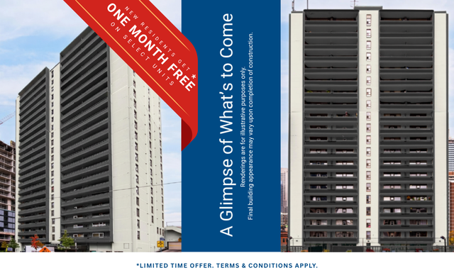 bach Apartment for Rent - 15 Dundonald Street