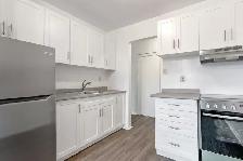 Berkshire Wonderland Apartments - 1 Bedroom - 170-186 Berkshire - Photo 7