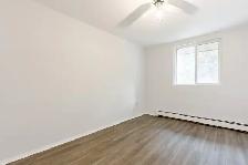 Berkshire Wonderland Apartments - 1 Bedroom - 170-186 Berkshire - Photo 8