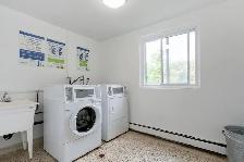 Berkshire Wonderland Apartments - 1 Bedroom - 170-186 Berkshire - Photo 10