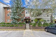 Berkshire Wonderland Apartments - 1 Bedroom - 170-186 Berkshire - Photo 12