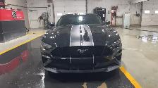 2022 Ford Mustang - Photo 6