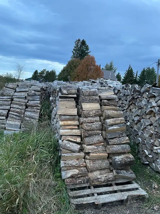 Firewood for sale