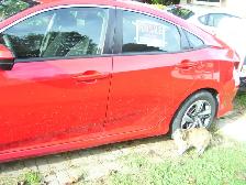 2019 HONDA CIVIC LX - Photo 8