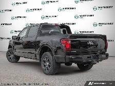 2026 Ford F-150 STX 4WD SuperCrew 5.5' Box - Photo 5