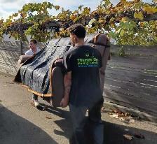 hiring reliable workers in gta brampton missisauga oakville