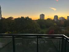 1 Bedroom, 1 Bathroom in Uptown Waterloo - Photo 2