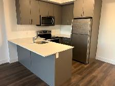 1 Bedroom, 1 Bathroom in Uptown Waterloo - Photo 5