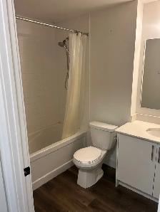 1 Bedroom, 1 Bathroom in Uptown Waterloo - Photo 8