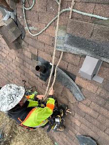 Looking for qualified shingles - Photo 5