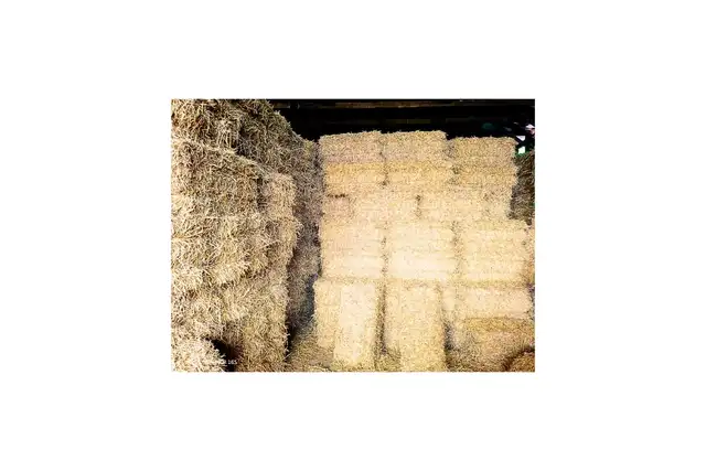 Straw - Square bales barley straw