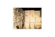 Straw - Square bales barley straw