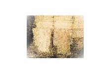 Straw - Square bales barley straw - Photo 2