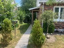 One Bedroom Furnished and All-incl. Suite for Rent - Photo 3