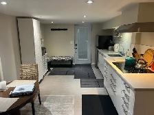 One Bedroom Furnished and All-incl. Suite for Rent - Photo 6