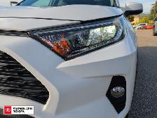 2019 Toyota RAV4 XLE XLE PREMIUM PKG, NO ACCIDENTS, - Photo 10