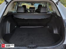 2019 Toyota RAV4 XLE XLE PREMIUM PKG, NO ACCIDENTS, - Photo 13