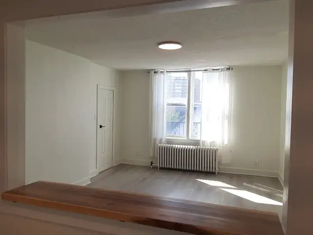Charming studio/bachelor - heart of Elgin Street