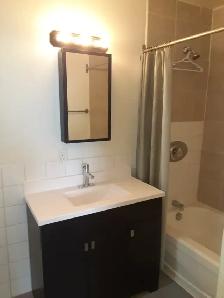 Charming studio/bachelor - heart of Elgin Street - Photo 4
