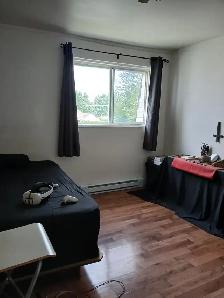 Beau Grand 4 1/2 coin tranquille - Photo 5