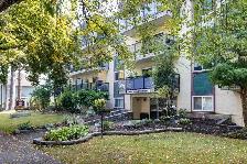 Westminster Court - 2 Bedroom available at 955 Humboldt Street, - Photo 6