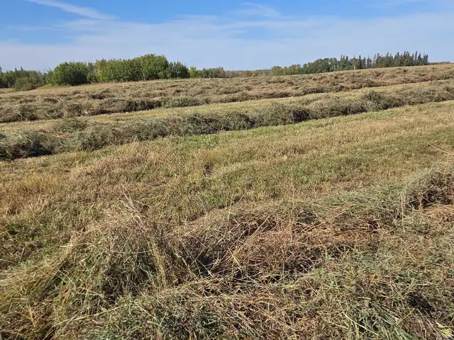Round Bales