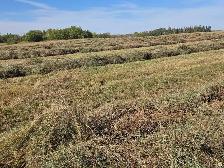 Round Bales