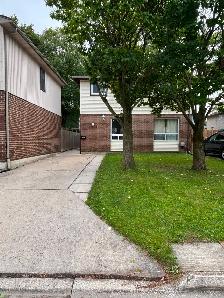 Beautiful Two-story Single House for Rent
