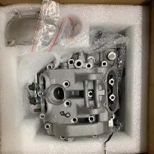Complete EFI Cylinder Head & Cylinder For Hisun 700 UTV ATV Mass