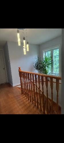 Room for rent female Occupancy - Photo 10