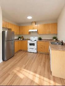 Nice 3 bed/2ba Semi-Detached Home Available Now (Brantford) - Photo 3
