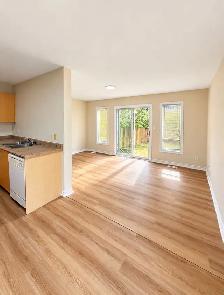 Nice 3 bed/2ba Semi-Detached Home Available Now (Brantford) - Photo 4