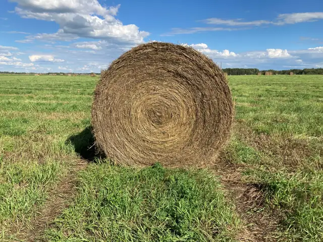 For Sale: 2026 Alfalfa/Brome/Timothy Hay