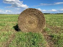 For Sale: 2026 Alfalfa/Brome/Timothy Hay