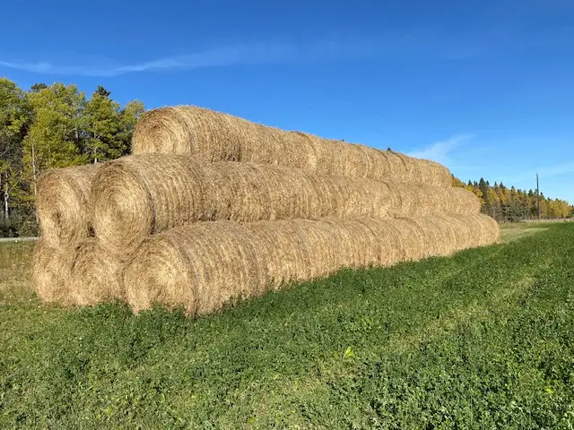 Hay for sale south of Sundre