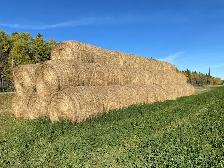 Hay for sale south of Sundre