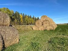 Hay for sale south of Sundre - Photo 2