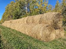 Hay for sale south of Sundre - Photo 4