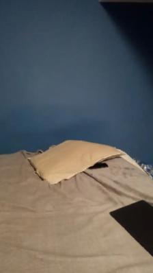 Room for Rent 1 - Photo 11