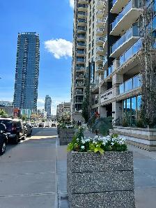 LUXURY DOWNTOWN RIVERFRONT CONDO - 1 Bedroom -FREE EARLY MOVE IN - Photo 2
