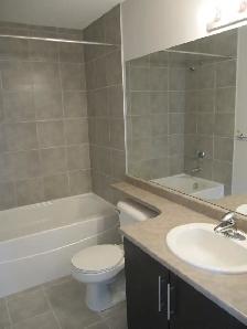 LUXURY DOWNTOWN RIVERFRONT CONDO - 1 Bedroom -FREE EARLY MOVE IN - Photo 8