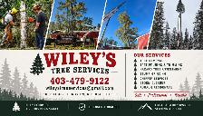 Seasonal Tree Service Labourer/ Helper