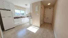 Bright 2bdrm APT- RENOVATED/SPACIOUS/SELF CONTAINED! Avail Now! - Photo 2