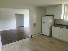 Bright 2bdrm APT- RENOVATED/SPACIOUS/SELF CONTAINED! Avail Now! - Photo 3