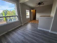 Trenton 1 bedroom apartment $1350 all inclusive - Photo 5