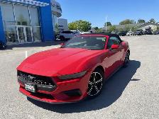 2025 Ford Mustang - Photo 3