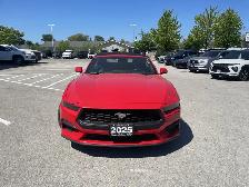 2025 Ford Mustang - Photo 4