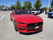 2025 Ford Mustang - Photo 5