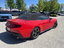 2025 Ford Mustang - Photo 7