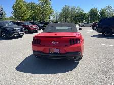 2025 Ford Mustang - Photo 8